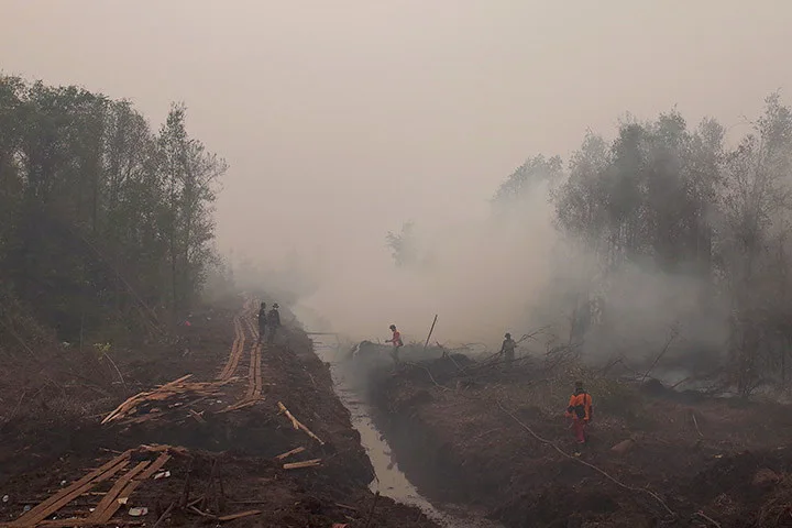 Dokumentasi historis lanskap berkabut asap saat kebakaran hutan Indonesia tahun 2015
